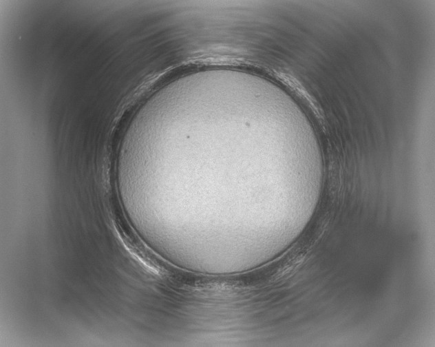 X0000067840533200605041652