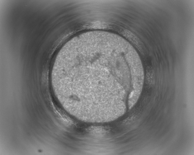 X0000067840534200605041652