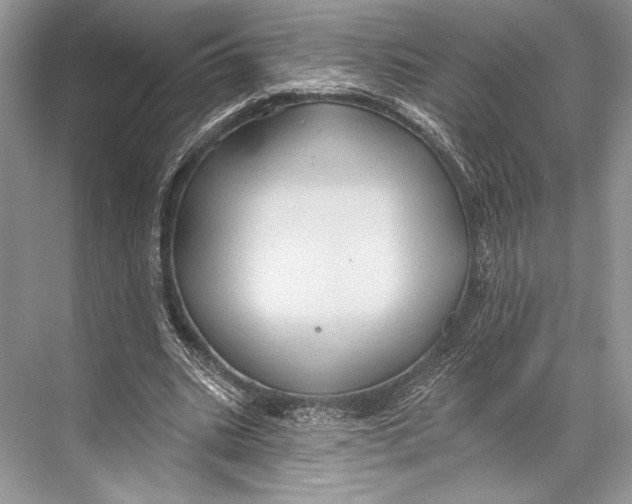 X0000067840535200605041652