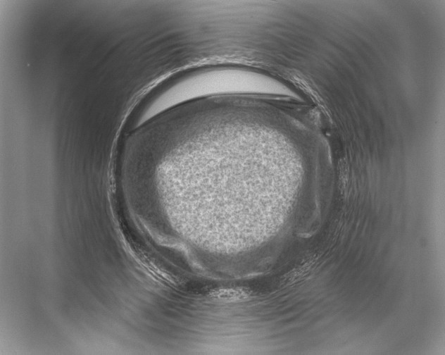 X0000067840536200605041652