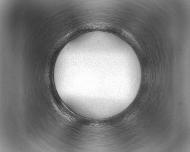 X0000067840538200605041652