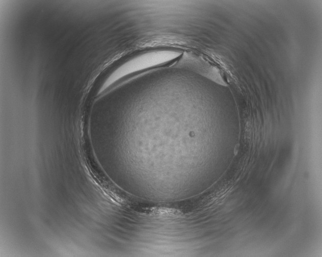 X0000067840539200605041652