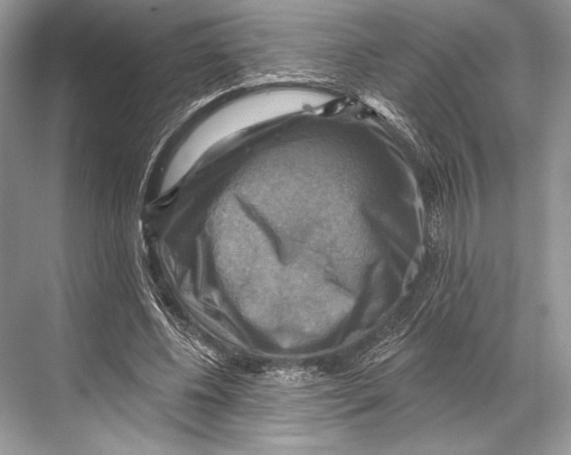 X0000067840540200605041652