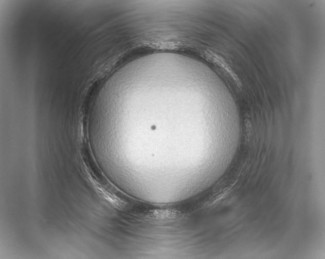 X0000067840541200605041652