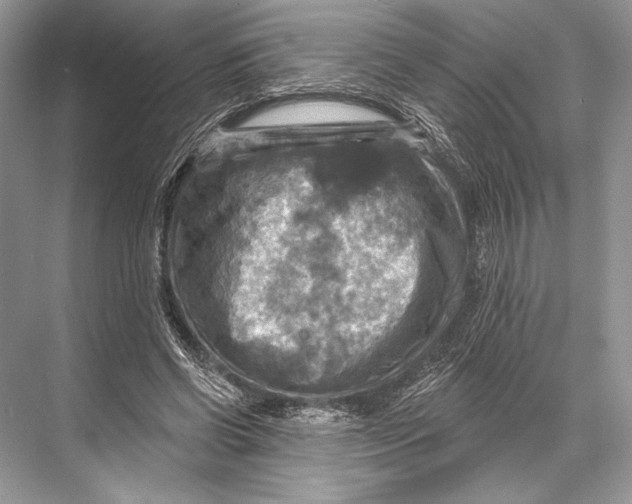 X0000067840542200605041652