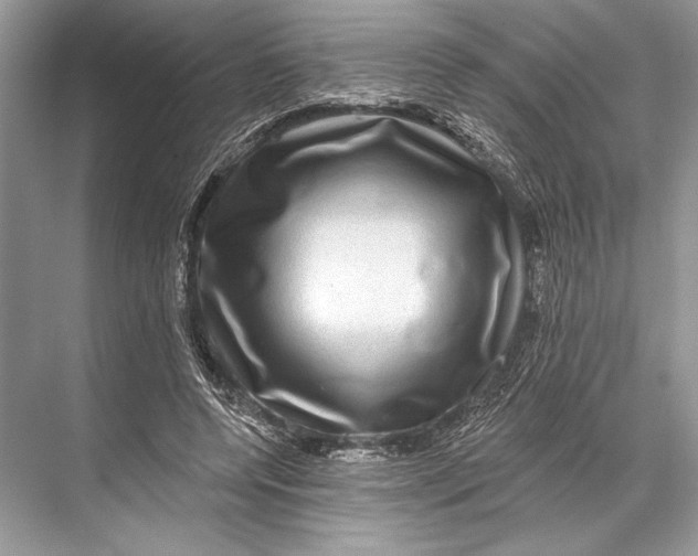 X0000067840544200605041652