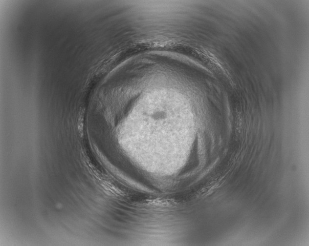 X0000067840545200605041652