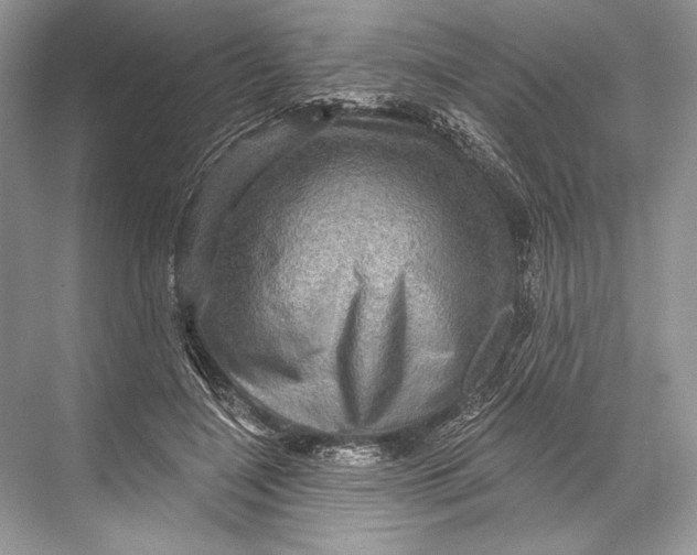 X0000067840548200605041652