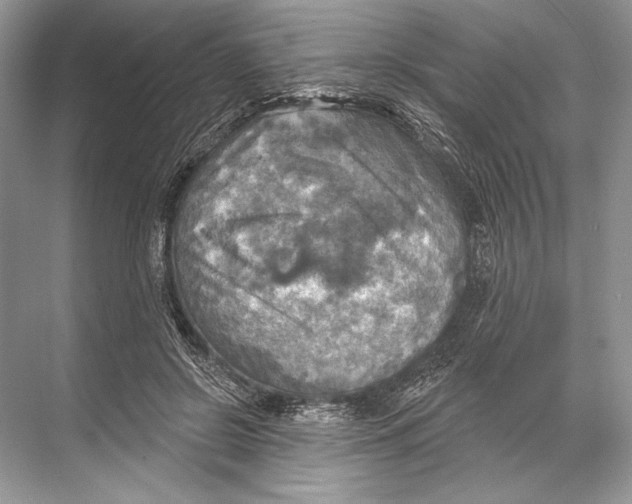 X0000067840550200605041652