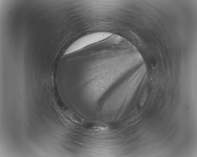 X0000067840552200605041652