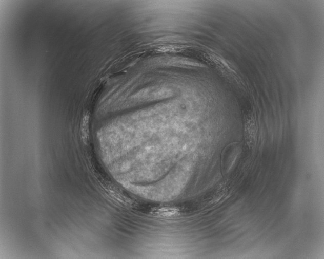 X0000067840554200605041652