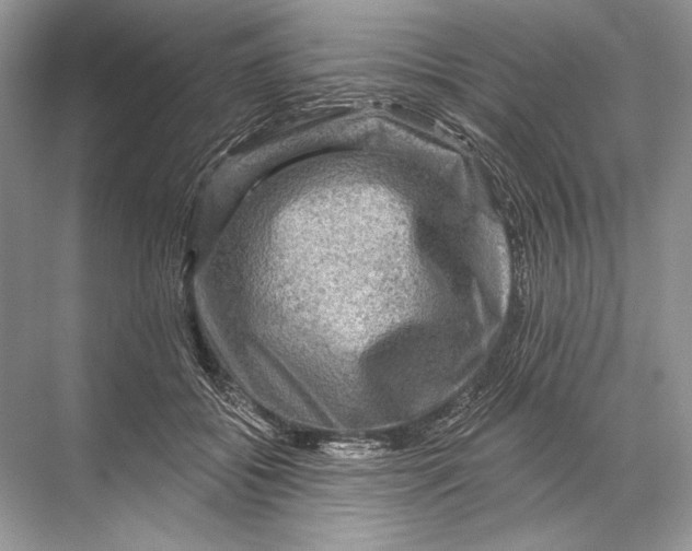 X0000067840556200605041652