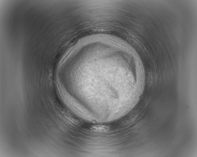 X0000067840557200605041652