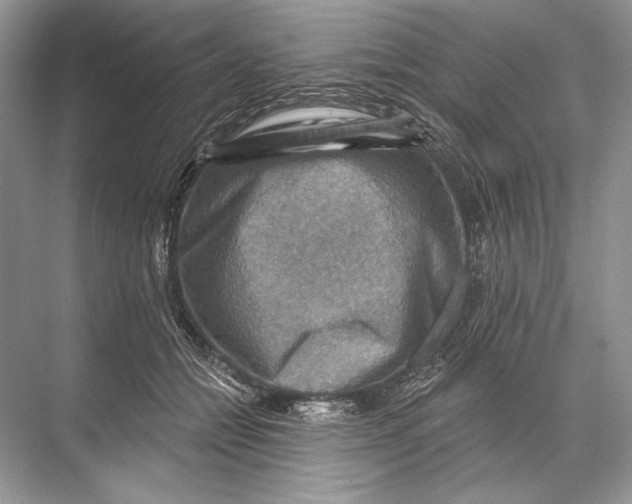 X0000067840558200605041652