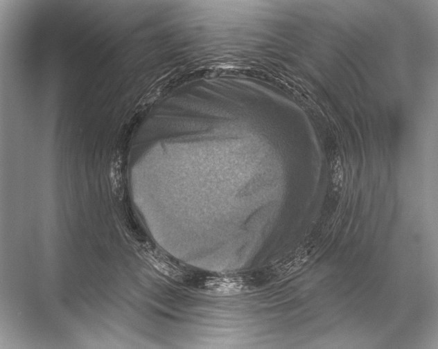 X0000067840559200605041652