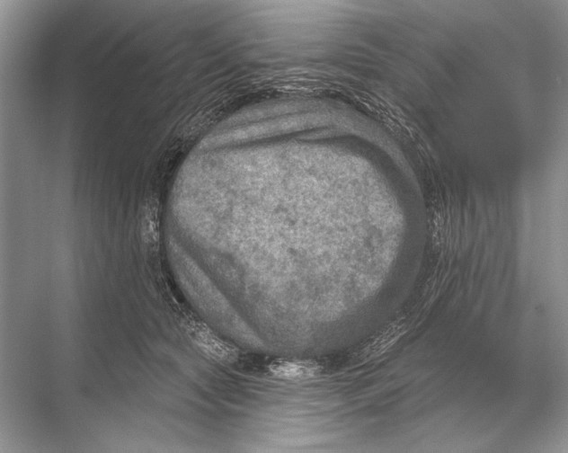 X0000067840561200605041652