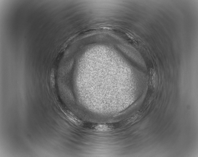 X0000067840562200605041652