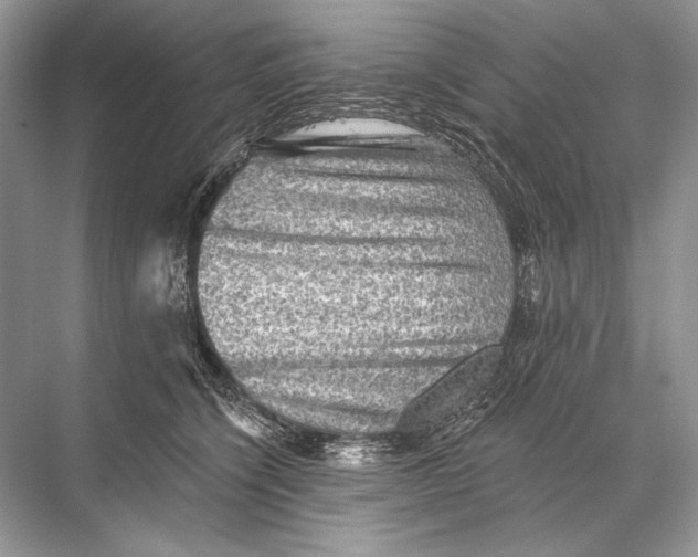 X0000067840564200605041652