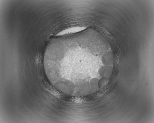 X0000067840565200605041652