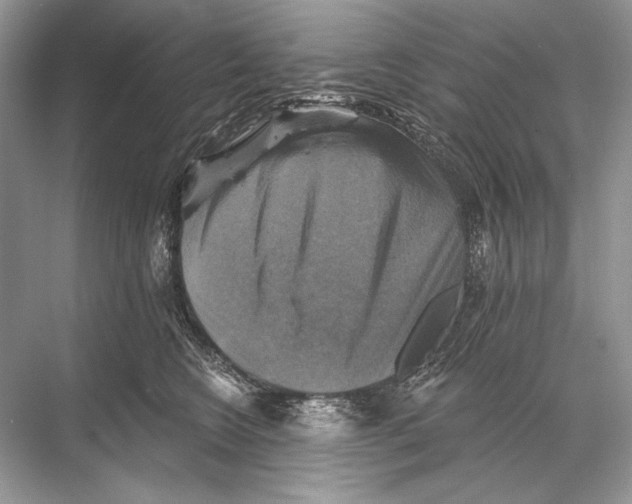 X0000067840566200605041652