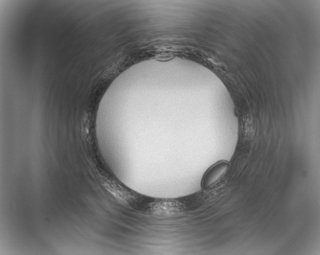 X0000067840567200605041652