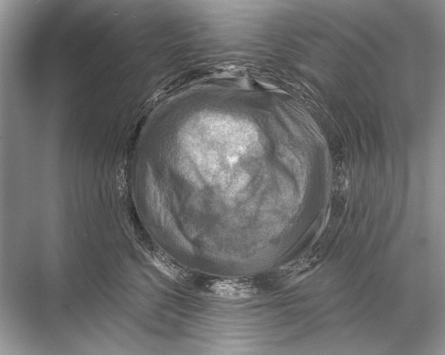 X0000067840568200605041652