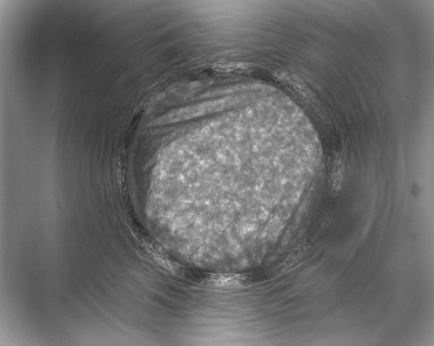 X0000067840569200605041652