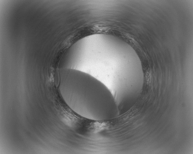 X0000067840570200605041652