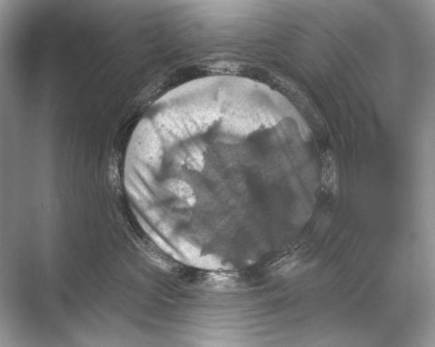 X0000067840573200605041652