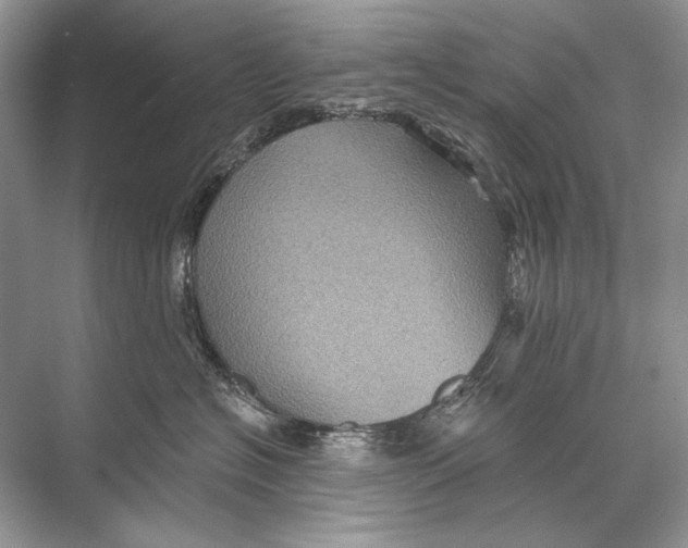 X0000067840574200605041652