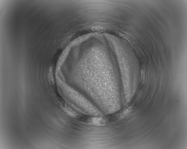 X0000067840575200605041652