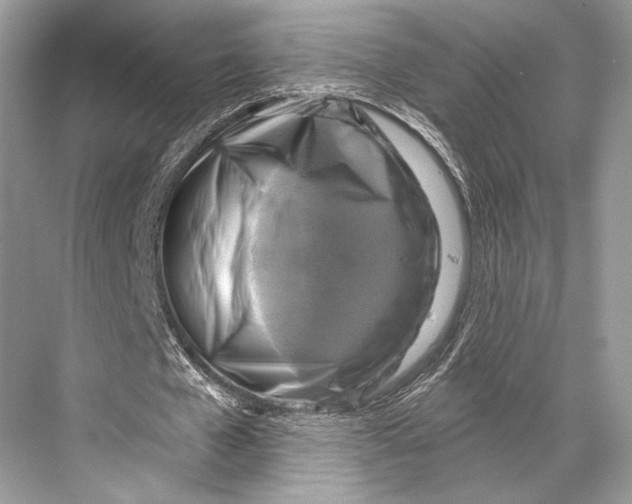 X0000067840577200605041652