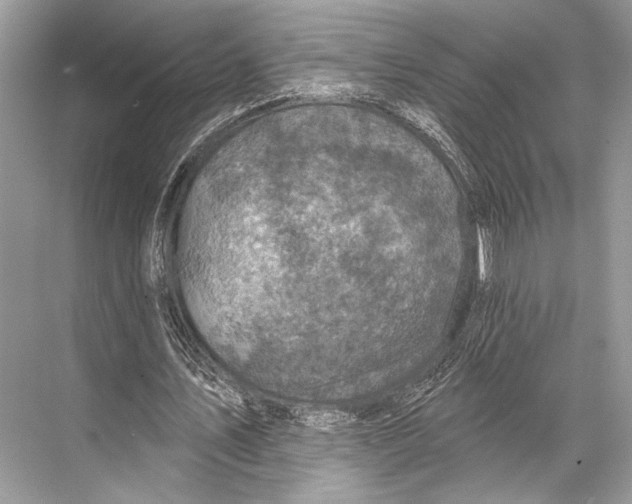 X0000067840579200605041651