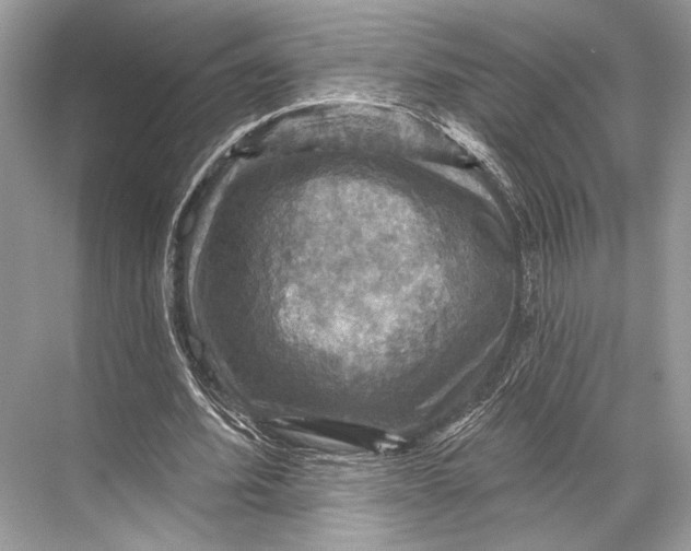 X0000067840580200605041651