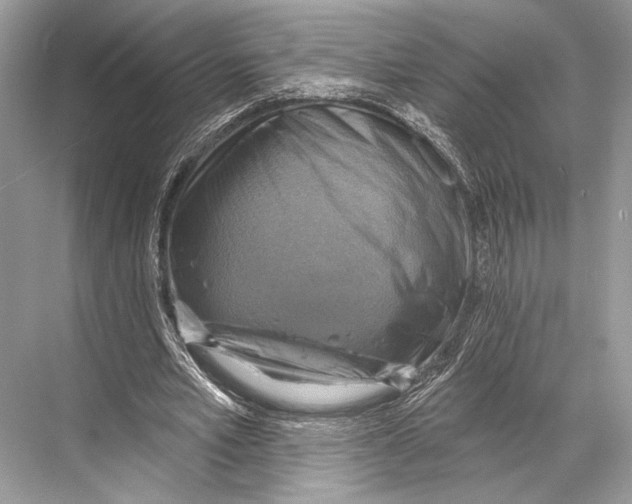 X0000067840581200605041651