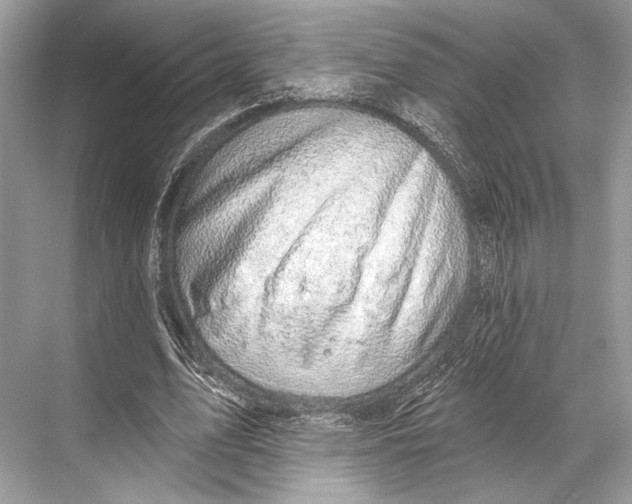 X0000067840583200605041651