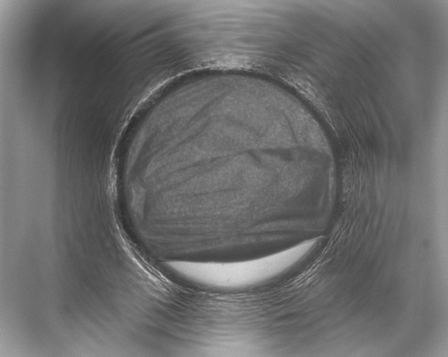 X0000067840584200605041651