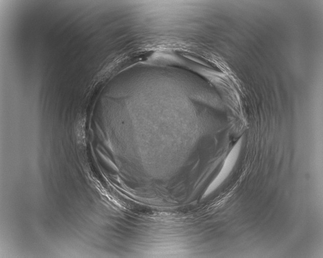 X0000067840585200605041651