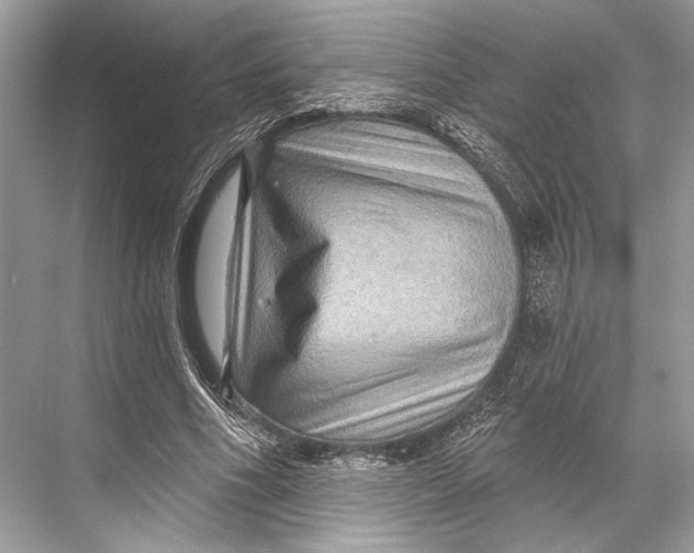 X0000067840586200605041651