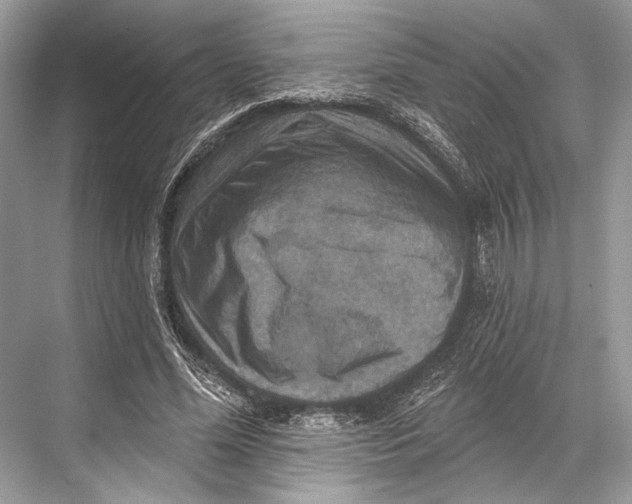 X0000067840588200605041651