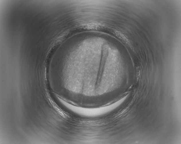 X0000067840589200605041651