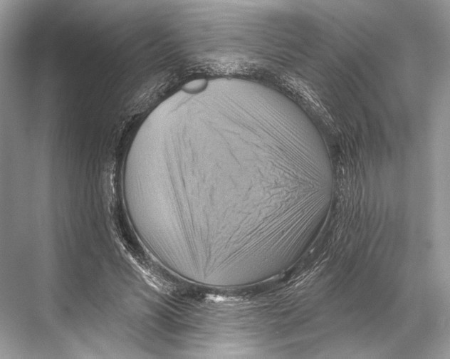 X0000067840590200605041651