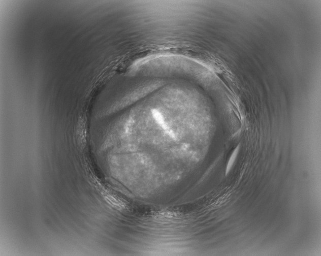 X0000067840593200605041651