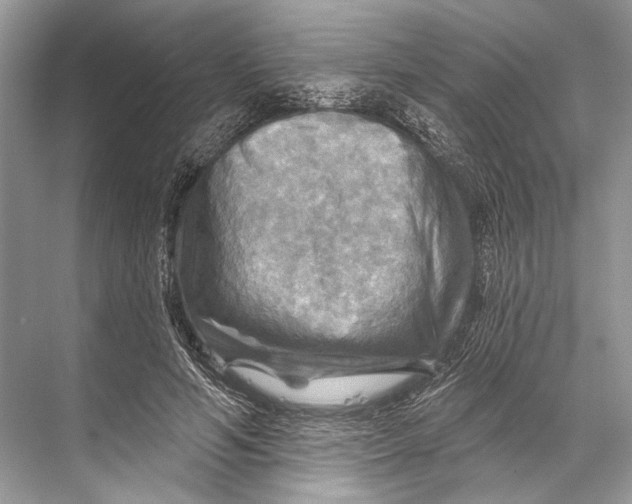 X0000067840594200605041651