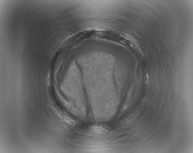 X0000067840596200605041651