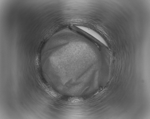 X0000067840597200605041651