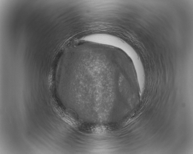 X0000067840600200605041651