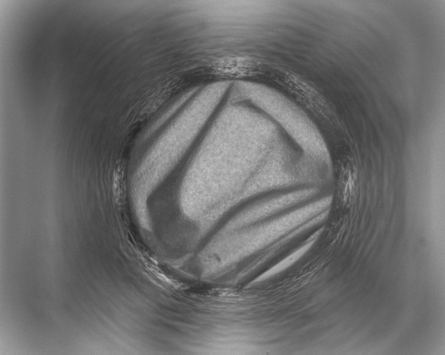 X0000067840601200605041651