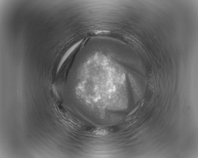 X0000067840604200605041651