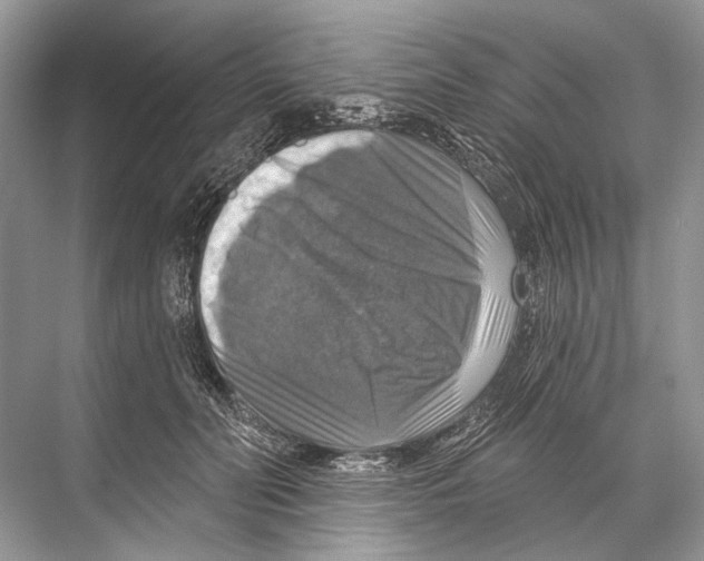 X0000067840606200605041651